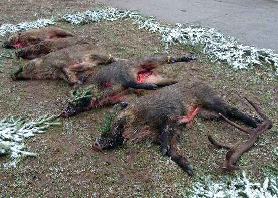 ...výrad po love...