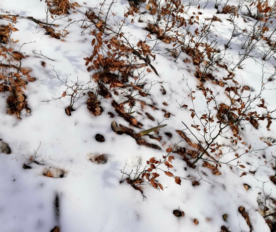 ...Odpočíval v pokoji...