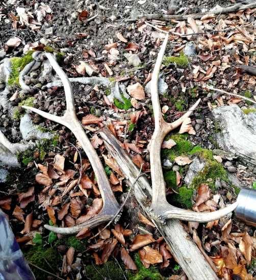 ...niekedy treba veľa šťastia...