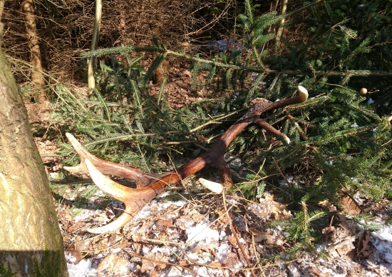 ...na okraji rúbane...