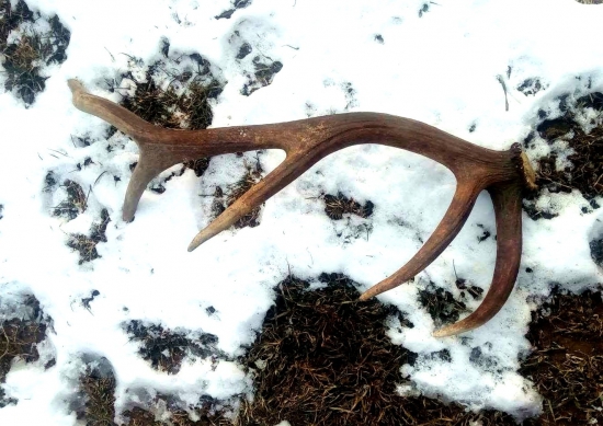 ...slušný desaťtorák...