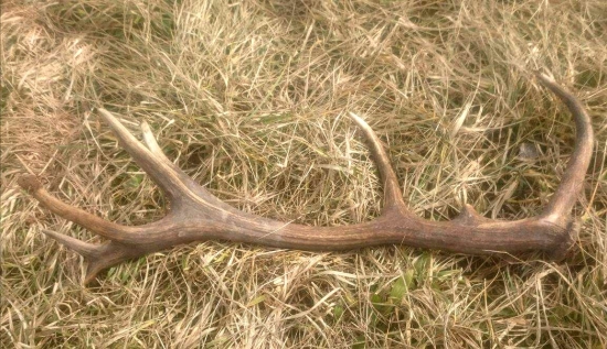 ...veľmi pekný zhod...