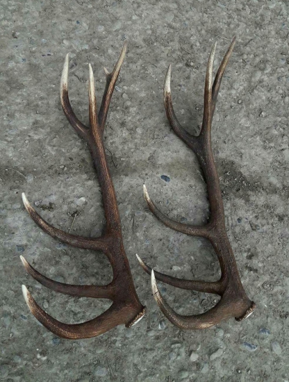 ...aj kamarátovi sa zadarilo...