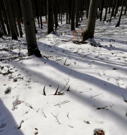 ...čakali na toho správneho :)...