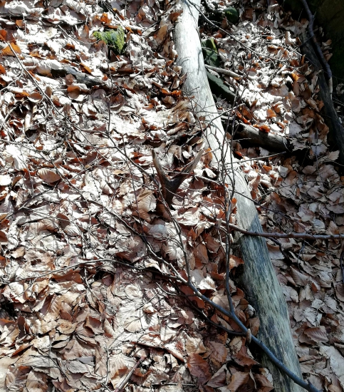 ...dobré oči a veľa šťastia, toto nájsť...