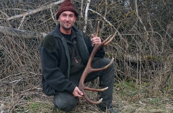 ...keď rastú, treba ich zbierať...