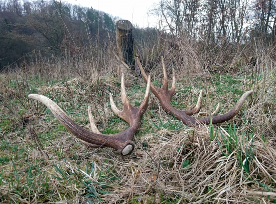 ...tak vyšlo mi to a krásna pára je moja...