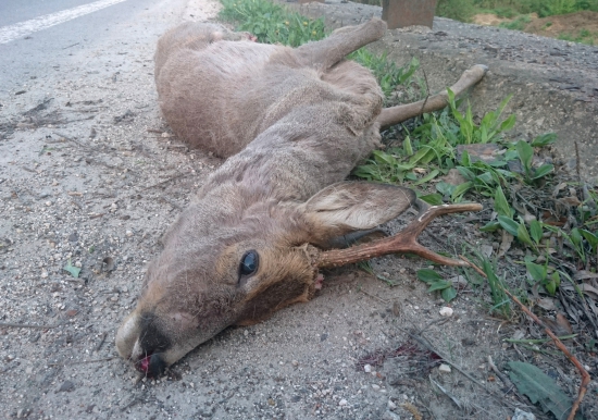 ...po zrážke s autom...