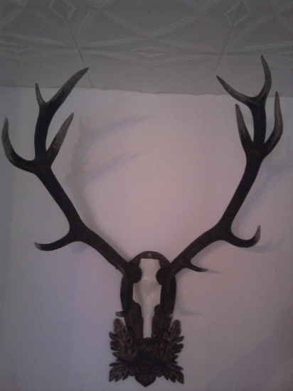 To sú tie zhody z borovničara