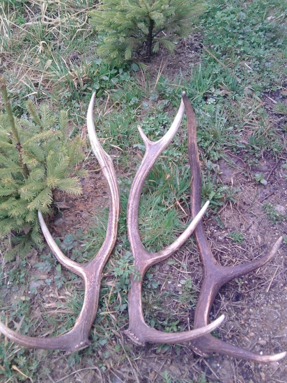 Šťastná Nedeľa.. :)