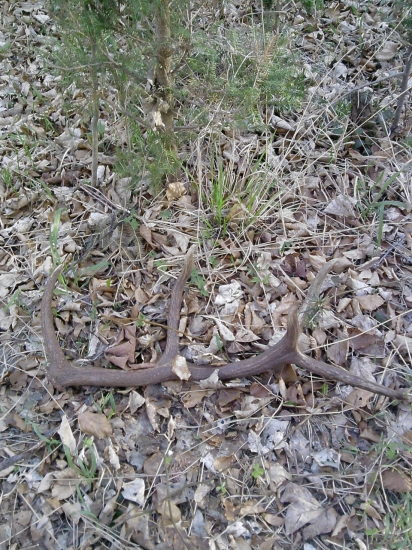 kto hľadá ten nájde..