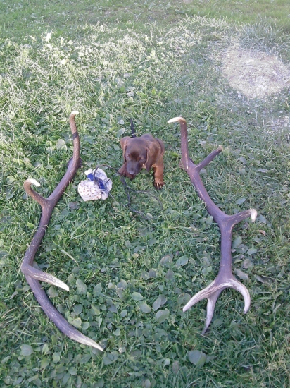 Prechádzka z Roxy.. :)