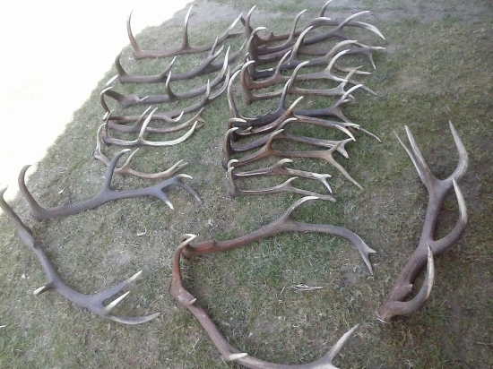 ,,prvá polka z celej sezóny