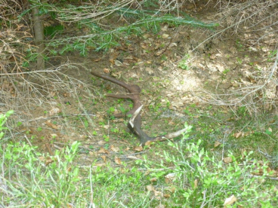 Krásna štrnástka :)