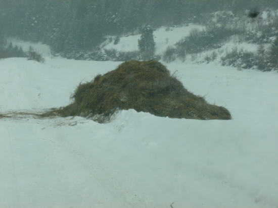 Dnes sme im trošku pomohli 1/2