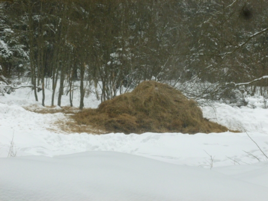 Dnes sme im trošku pomohli 2/2