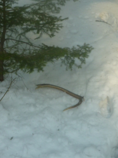 Sezona sa začala :)