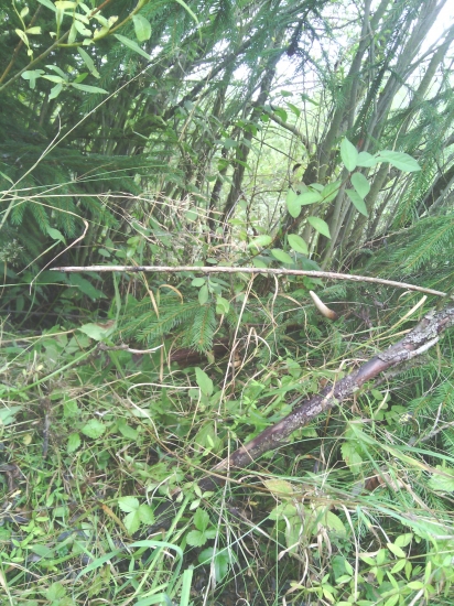 Náhoda ale potešil ;)