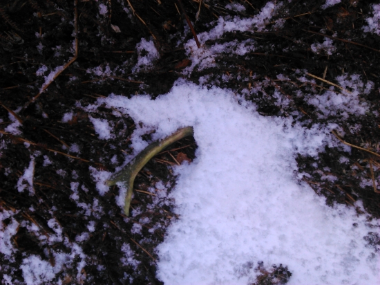 maam ja ale šťastie :)