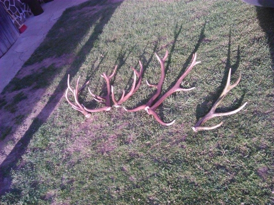 V jeden den kopa štastia  :)