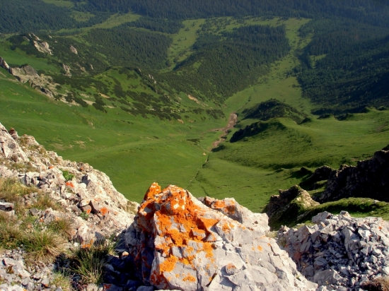Kopršagy