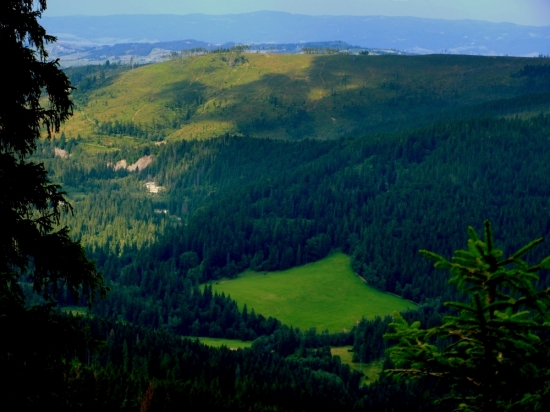 Poľana