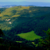 Poľana