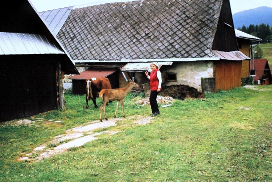 Vyrastal s kravou