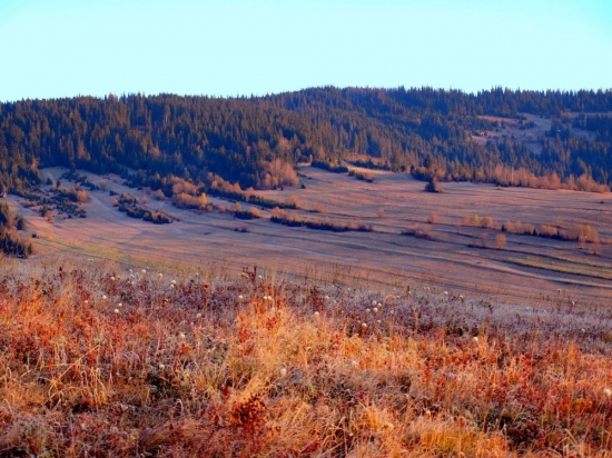 Spišska magura