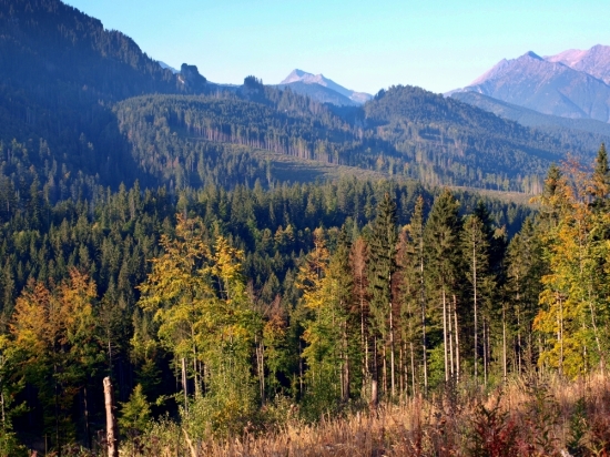 Škoda že to nepočuť.