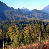 Škoda že to nepočuť.