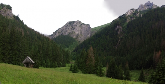 Žlebina
