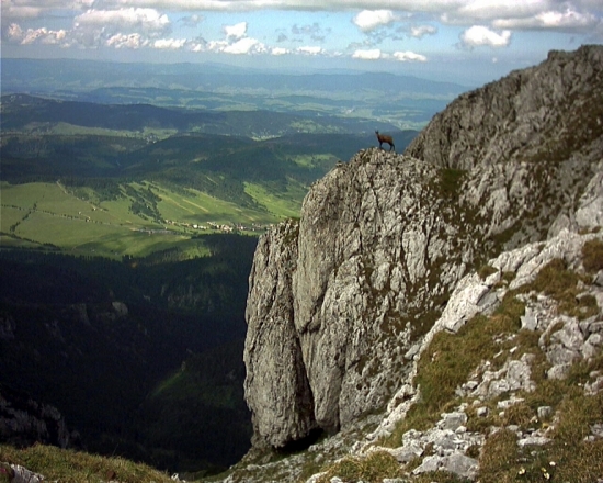 Strážnik.