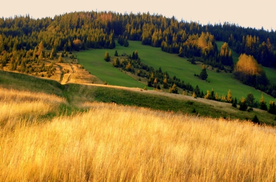 Pod Spišskou magurou