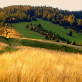 Pod Spišskou magurou