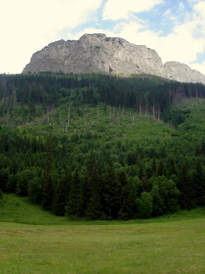 Muraň
