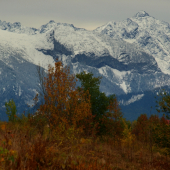 Mliečny Ľadový štít