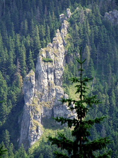 Bralo