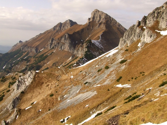 Kopršagy