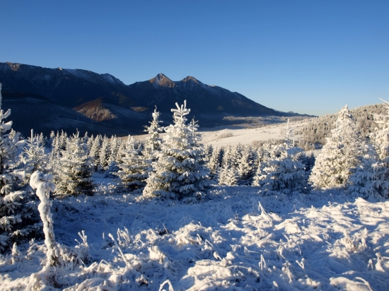 Dnes ráno sa oplatilo isť von