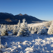 Dnes ráno sa oplatilo isť von