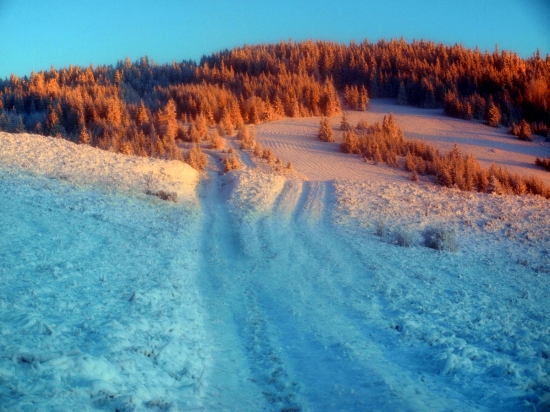 Slnko bolo hore skôr ako ja