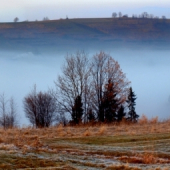 Na jesenných lúkach