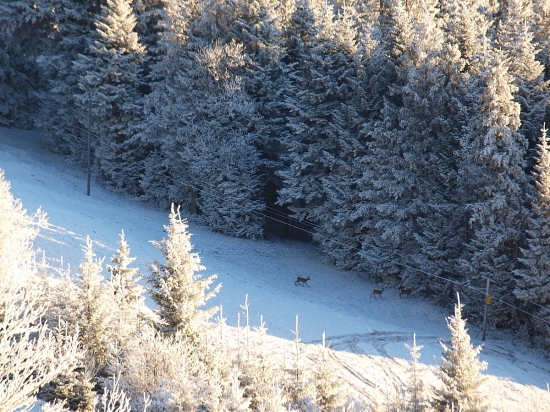 Začínajú ťažké chvíle