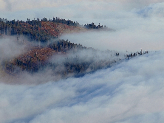 Snáď sa to prevalí