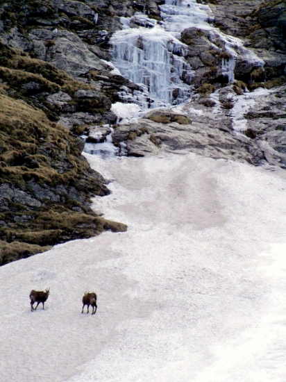 V Tristarskej doline