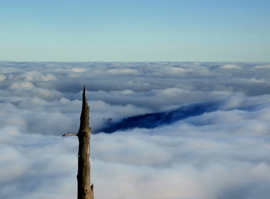 ešte že je o čo oko oprieť.