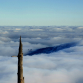 ešte že je o čo oko oprieť.