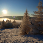 Smrekovce  na výslní