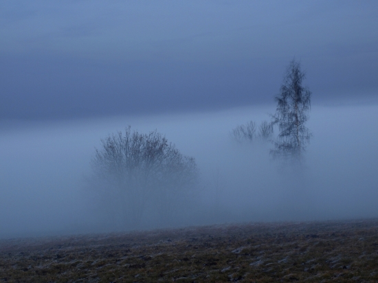Medzi nebom a zemou.